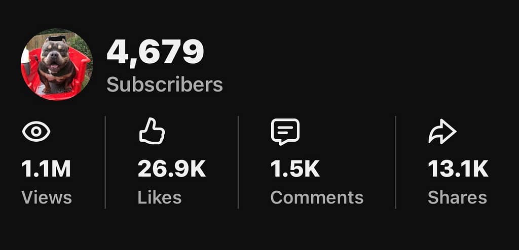 Milestone image of Southeast Bully Kennels after surpassing 1 million YouTube views, highlighting the kennel’s American Bully program and long‑term dedication.