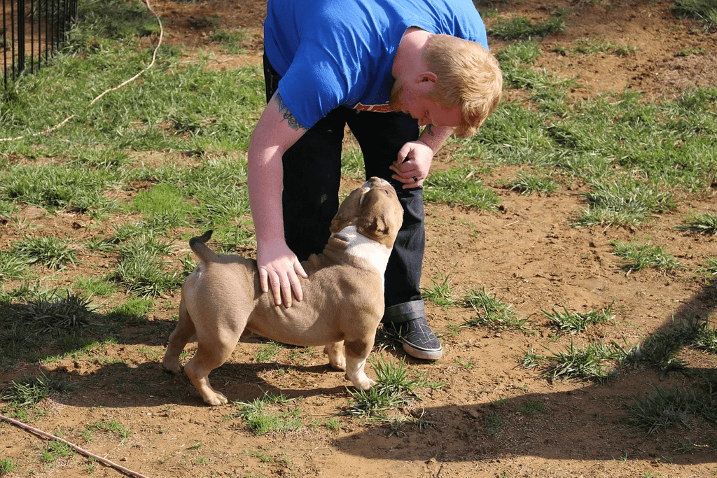Man meets a micro bully for the first time