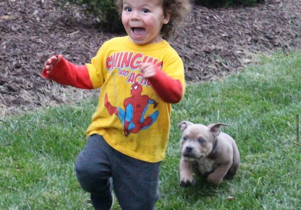 A two-year-old boy runs across a yard while a playful puppy chases him, showcasing the contrast between a child's fear and a puppy's playful excitement during early interactions between kids and dogs.