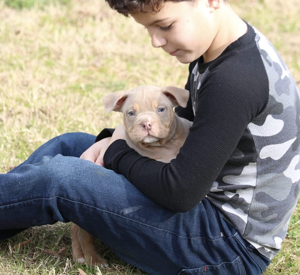 Young boy sitting on grass hugging a small puppy.