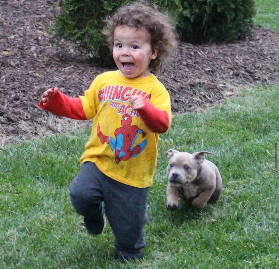 A two-year-old boy runs across a yard while a playful puppy chases him, showcasing the contrast between a child's fear and a puppy's playful excitement during early interactions between kids and dogs.