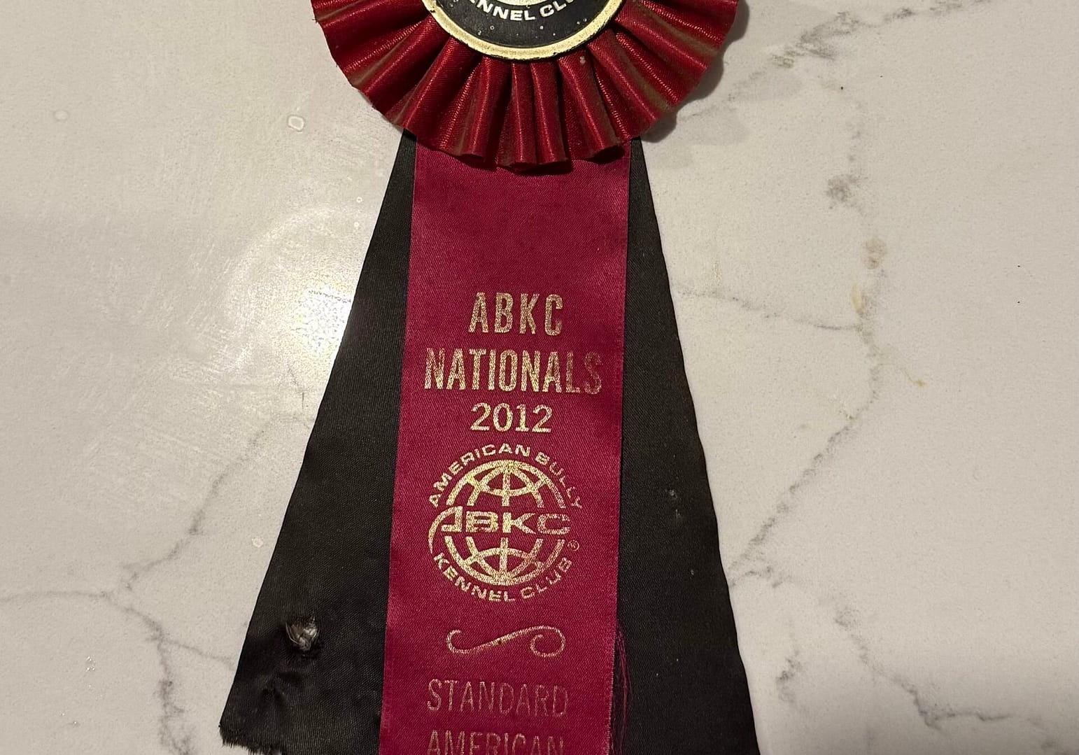 2012 ABKC Nationals 2nd place ribbon owned by Southeast Bully Kennels