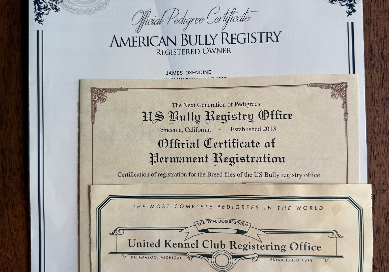 Photo displaying Southeast Bully Kennels’ official registration papers from ABKC, ABR, USBR, UKC, and IBKC, demonstrating that our Micro and Pocket Bullies are recognized, bred, trained, and shown in every major American Bully registry.