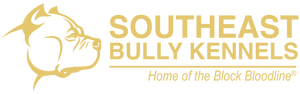 Logo for South Bulkeley, Wales, UK featuring a thumbs-up icon.