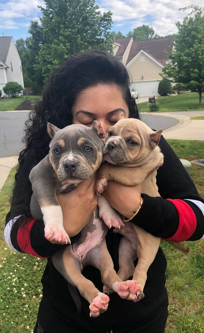 Person holding two adorable puppies close to her face.