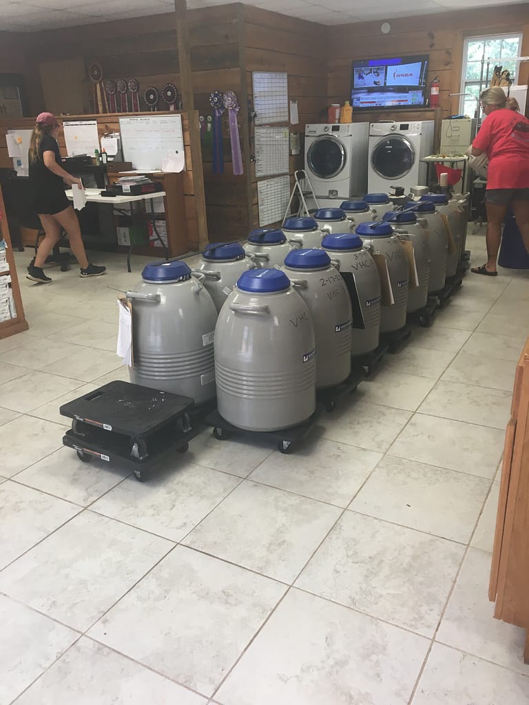 Interior of the International Canine Semen Bank in Atlanta, Georgia, where Southeast Bully Kennels stores frozen semen for international breeding shipments.