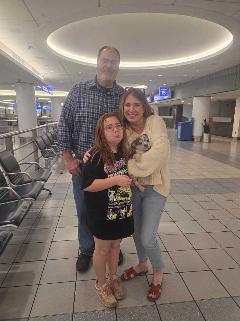 Portia and Jason meeting Southeast Bully Kennels’ nanny, Veronica, at the airport to receive their new Micro Bully puppy from the Icepick × River breeding.