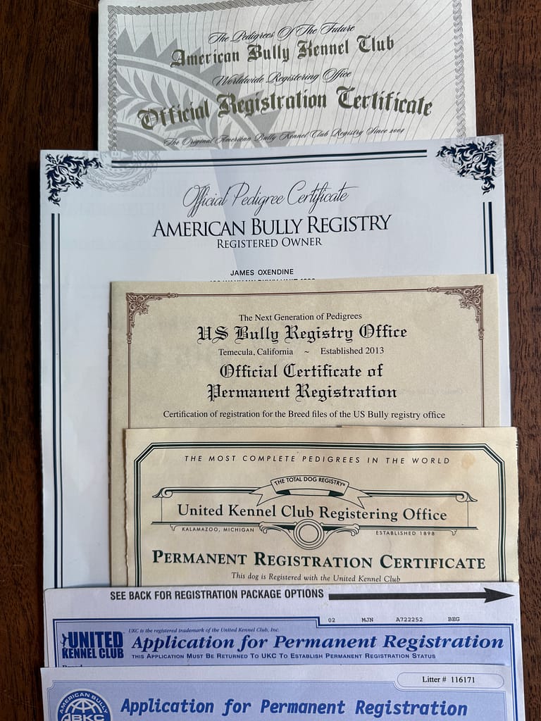 Verified registry documents from Southeast Bully Kennels proving active participation in ABKC, UKC, IBKC, and other bully registries.