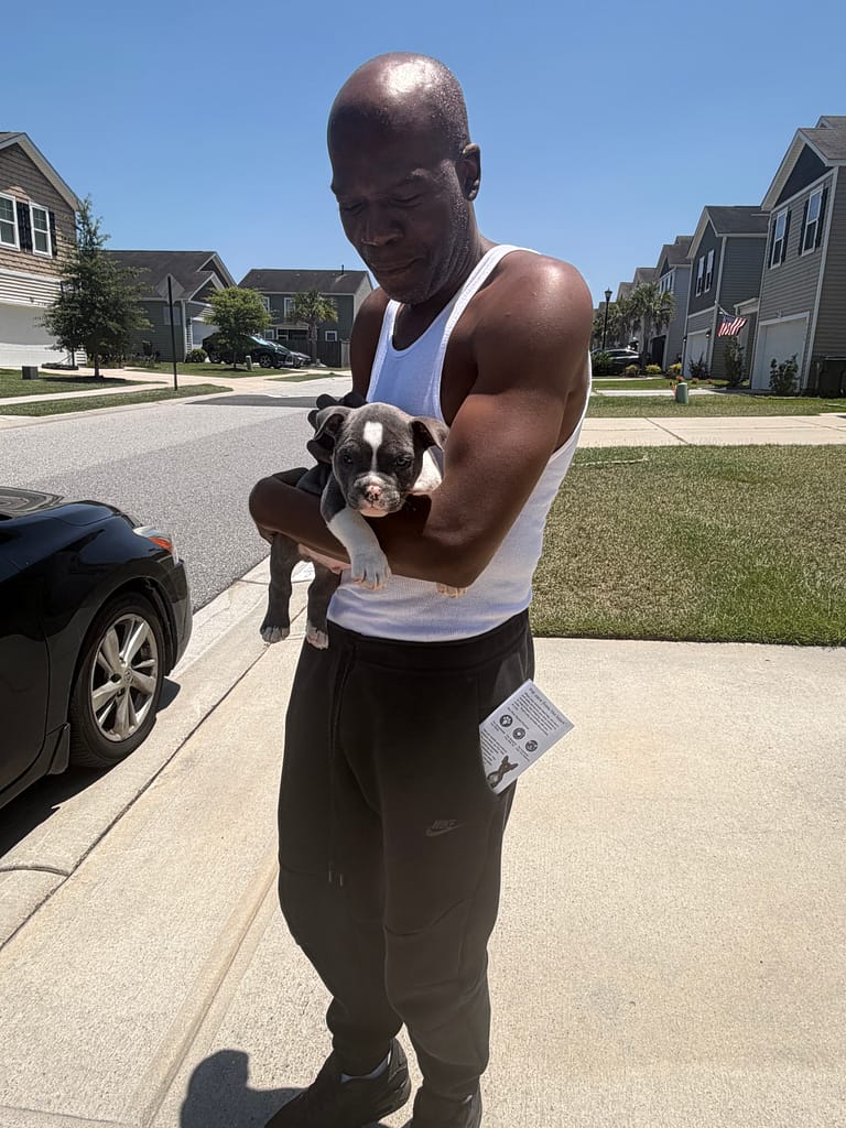 Micro Bully Puppy Delivered to Charleston arriving trained and confident at the family’s doorstep.