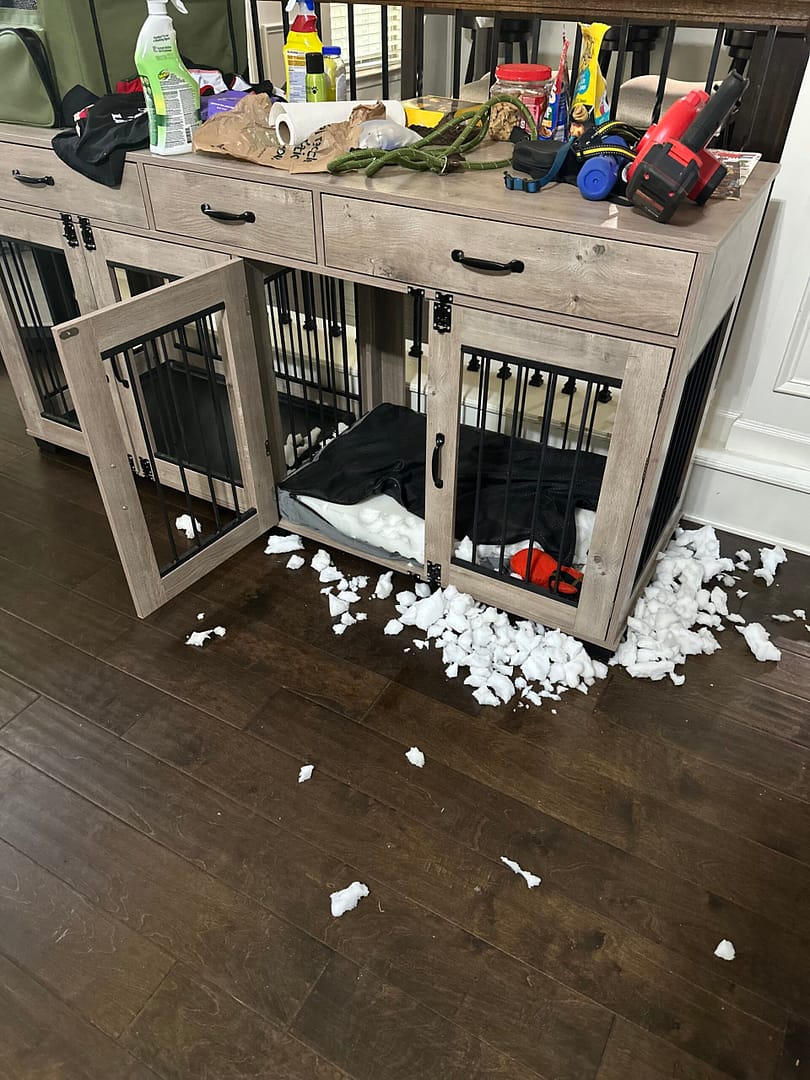 when leaving a mattress in your dog's crate goes bad