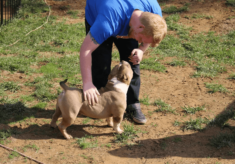 Man meets a micro bully for the first time