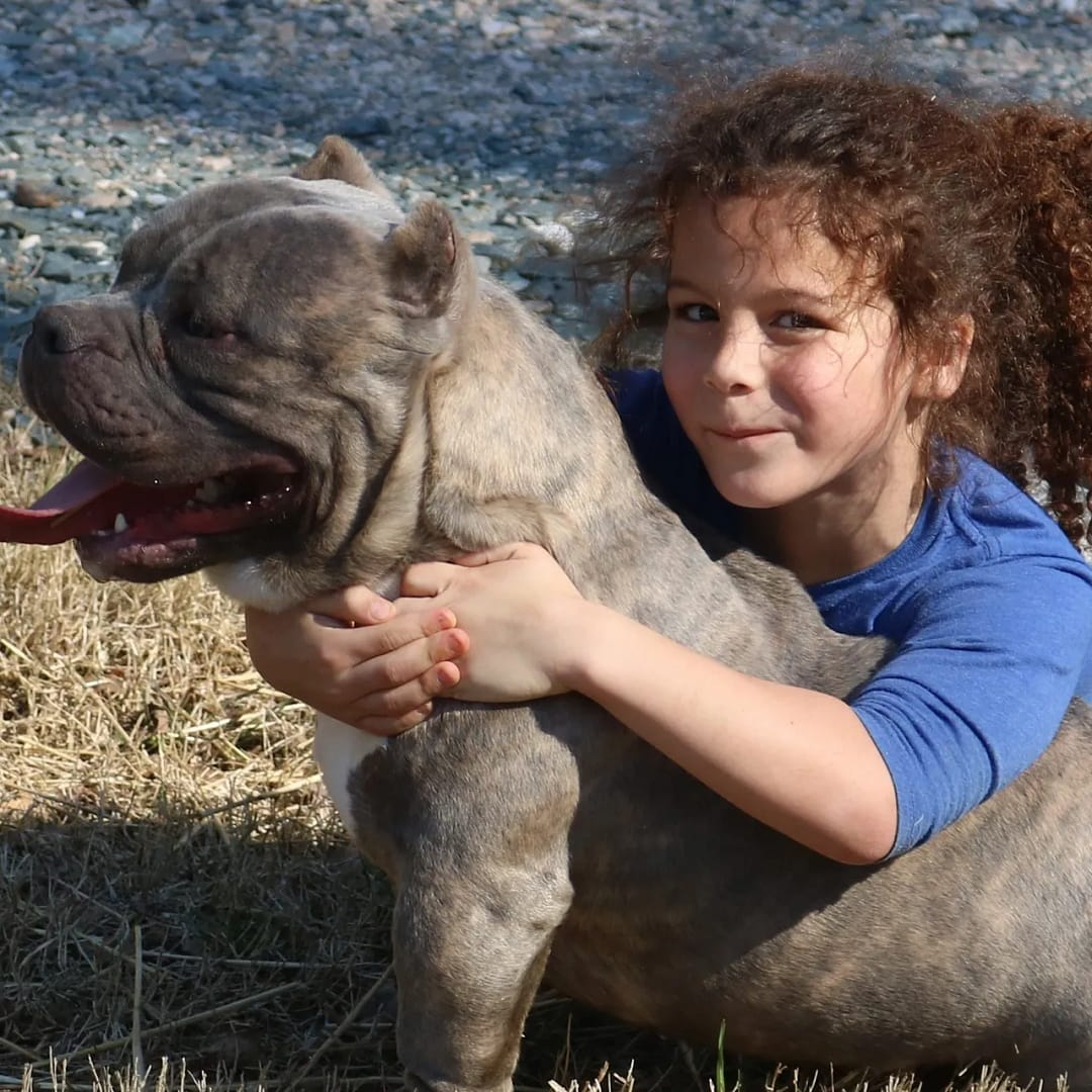 rs=w_1280 (4) enhancing your mental health with a pocket bully or micro bully