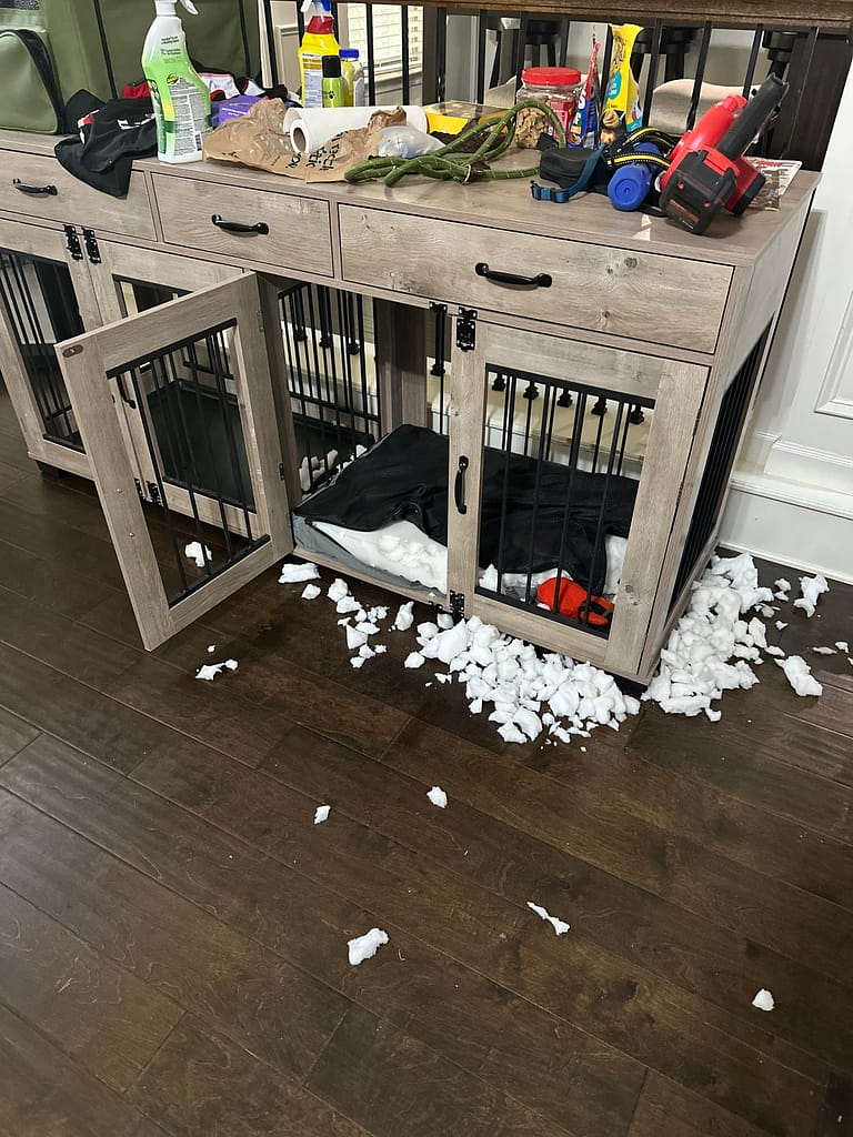 Dog has made a mess with torn-up paper on the floor and inside a crate.