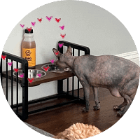 testimonial2 Verified pet owners providing testimonials and 5-star reviews for Super Paws Juice