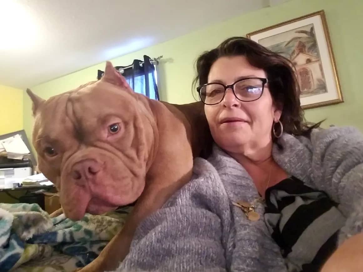 A woman holding her chocolate pocket bully produced by southeast bully kennels.