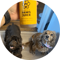 testimonial3 Verified pet owners providing testimonials and 5-star reviews for Super Paws Juice