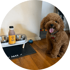 testimonial4 Verified pet owners providing testimonials and 5-star reviews for Super Paws Juice