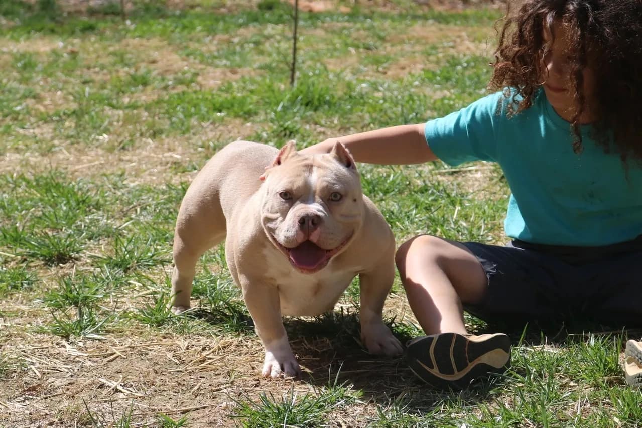 A person kneeling down next to a dog.