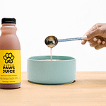 Best Dog Dental Supplements for Fresh Breath in 2025