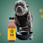 Changing Lives, One Bowl at a Time: Super Paws Juice® in Action