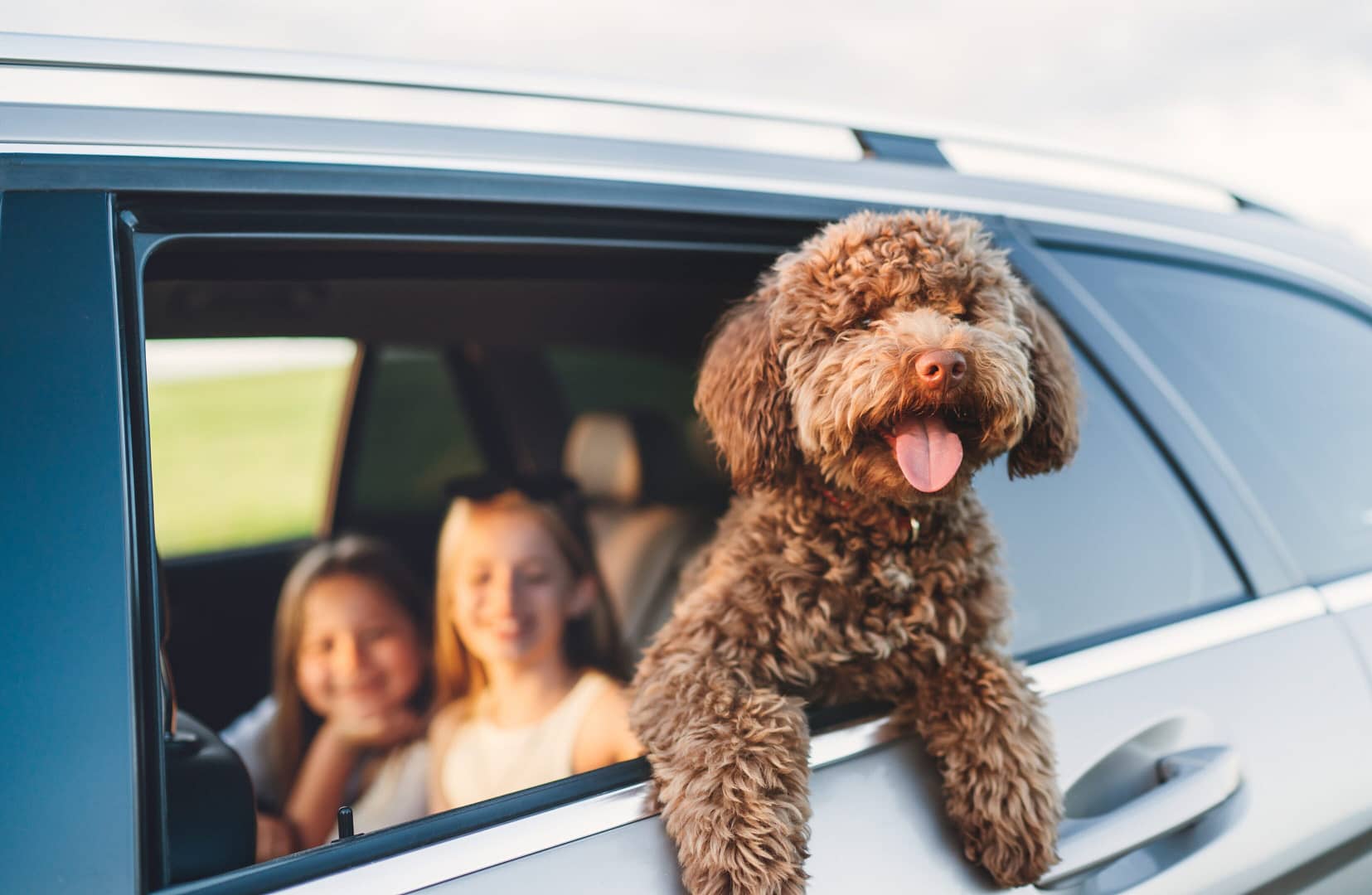 a family excited with their dog to try the best water bowl additive for dogs