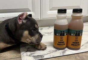 pocket bully puppy with a bottle of his favorite dog supplement super paws juice