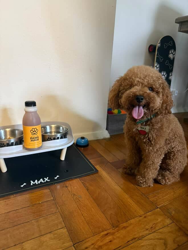 Max loves his prebiotic and probiotic supplement for dogs