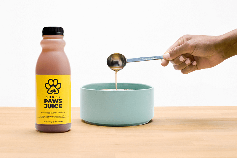 Best Dog Dental Supplements for Fresh Breath in 2025