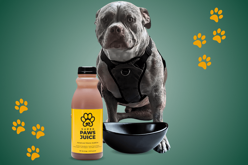 Changing Lives, One Bowl at a Time: Super Paws Juice® in Action